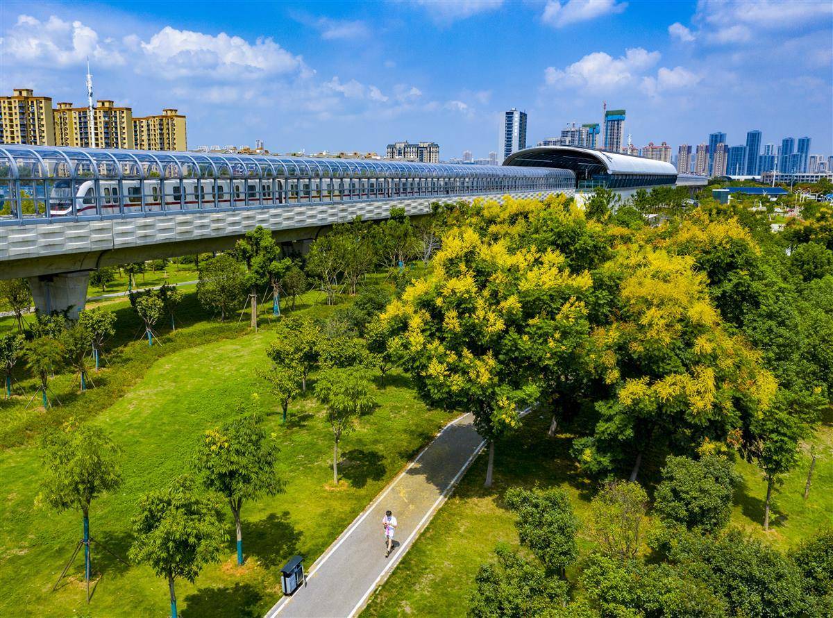 扑鱼炸翻天姚记官方版